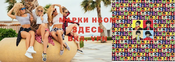 ПСИЛОЦИБИНОВЫЕ ГРИБЫ Баксан