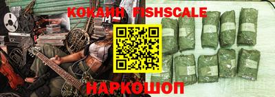 гашик Кинель