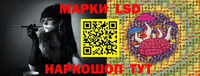 гашик Кинель