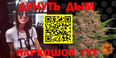 гашик Кинель