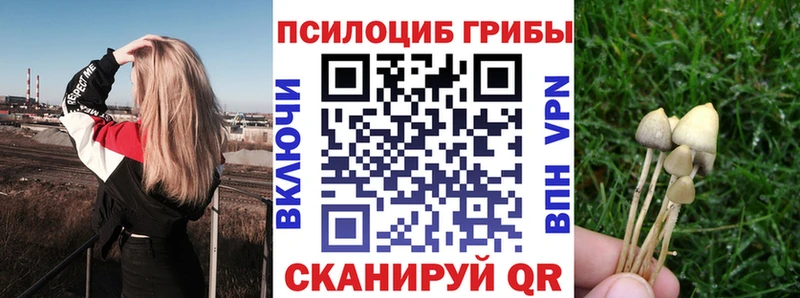 MEGA зеркало Коммунар Псилоцибиновые грибы MAGIC MUSHROOMS