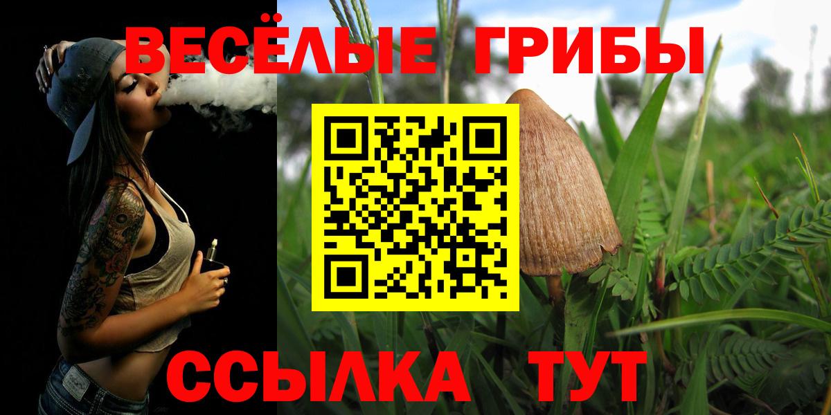 Галлюциногенные грибы Psilocybine cubensis Коммунар