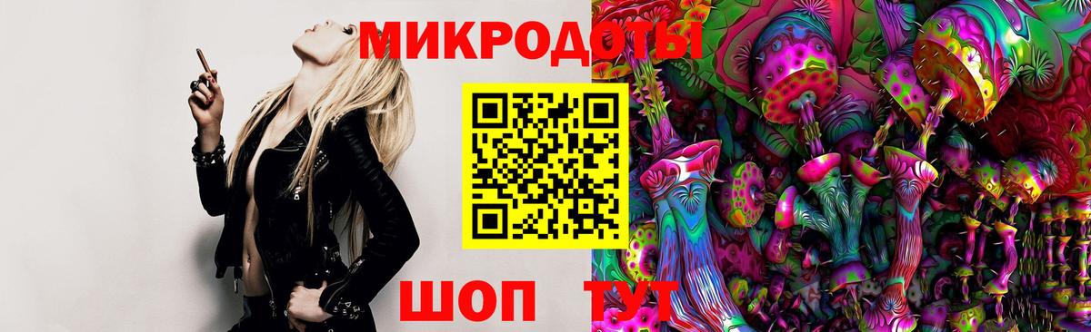Коммунар  Галлюциногенные грибы Cubensis  Вход с VPN 
